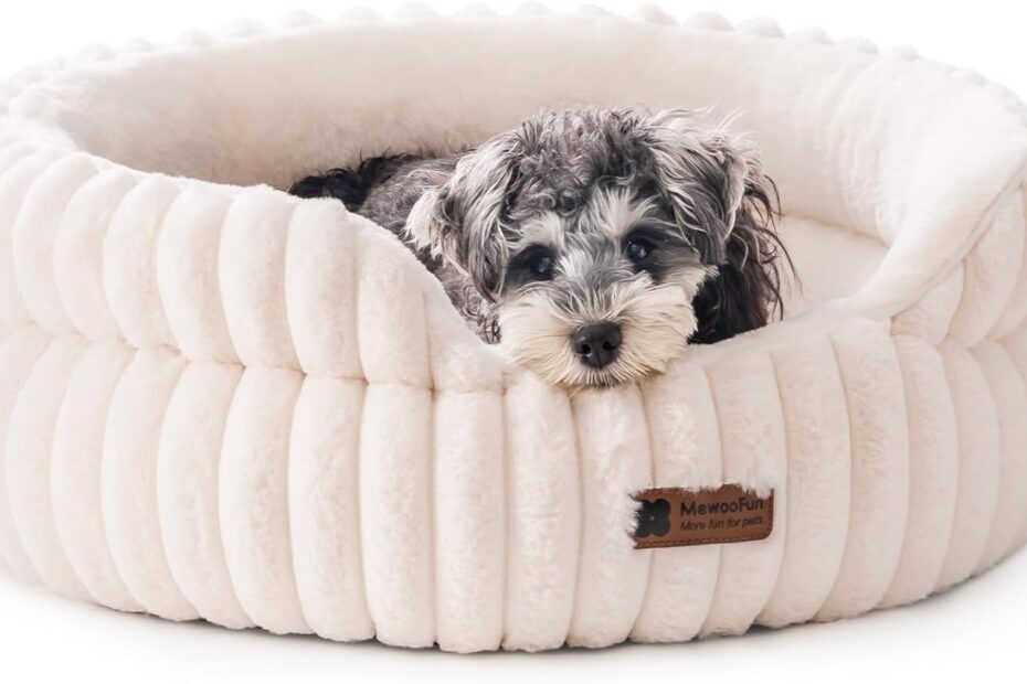Cozy Comfort: MEWOOFUN Washable Pet Bed Review for Small Dogs and Cats
