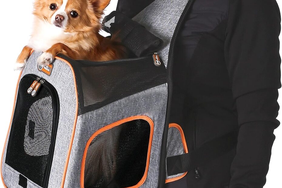 Cozy Comfort on the Go: K&H Should Sling Pet Carrier Review