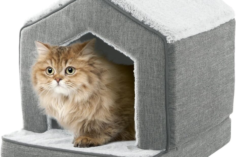 Cozy Comfort: Review of the Best Orthopedic Cat House for Your Feline Friend