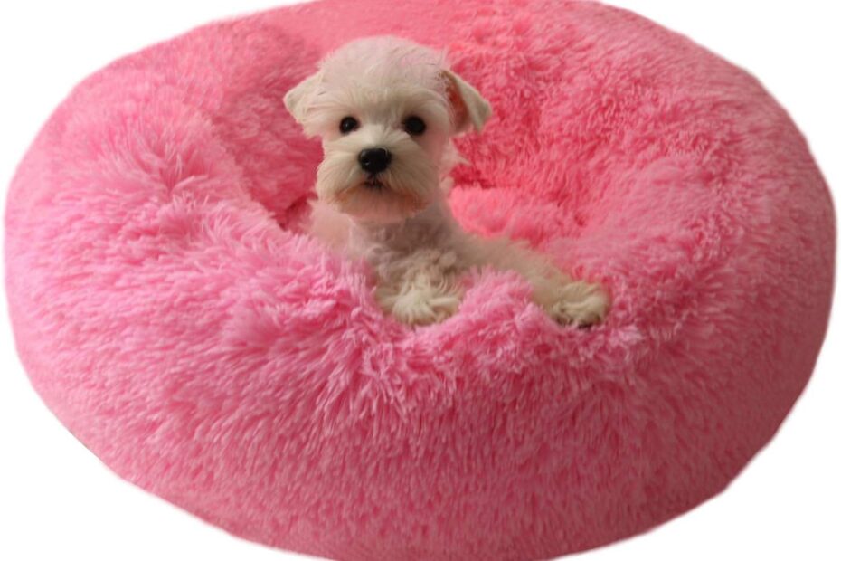 Cozy Comfort: Review of the BODISEINT Plush Pet Bed for Cats and Small Dogs