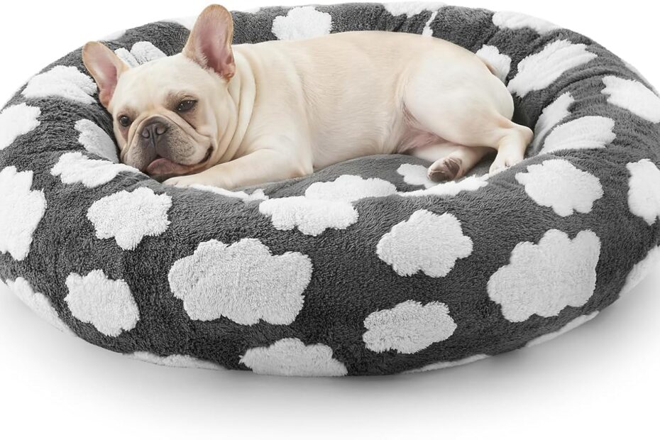 Cozy Comfort: Review of the JOEJOY Donut Small Dog Bed for Cats & Puppies