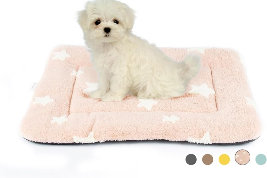Cozy Comfort: Review of the Mora Pets Star Crate Pad for Small Dogs