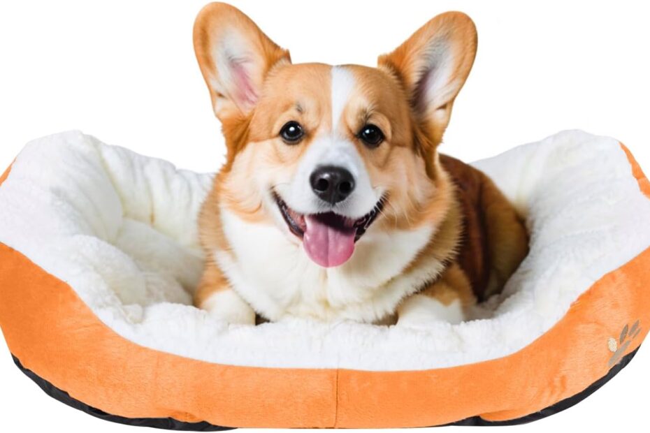 Cozy Comfort: Review of the Plush Orange Round Dog Cat Bed