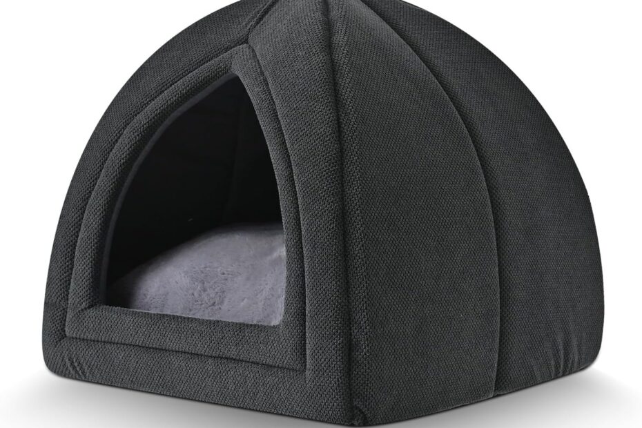 Cozy Comfort: The Amazon Basics Cat Cave Bed Review