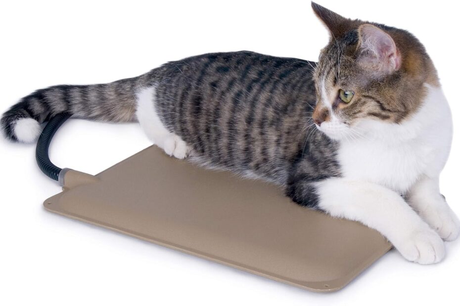 Cozy Comfort: The Best Heated Outdoor Cat Mat for Feral Friends