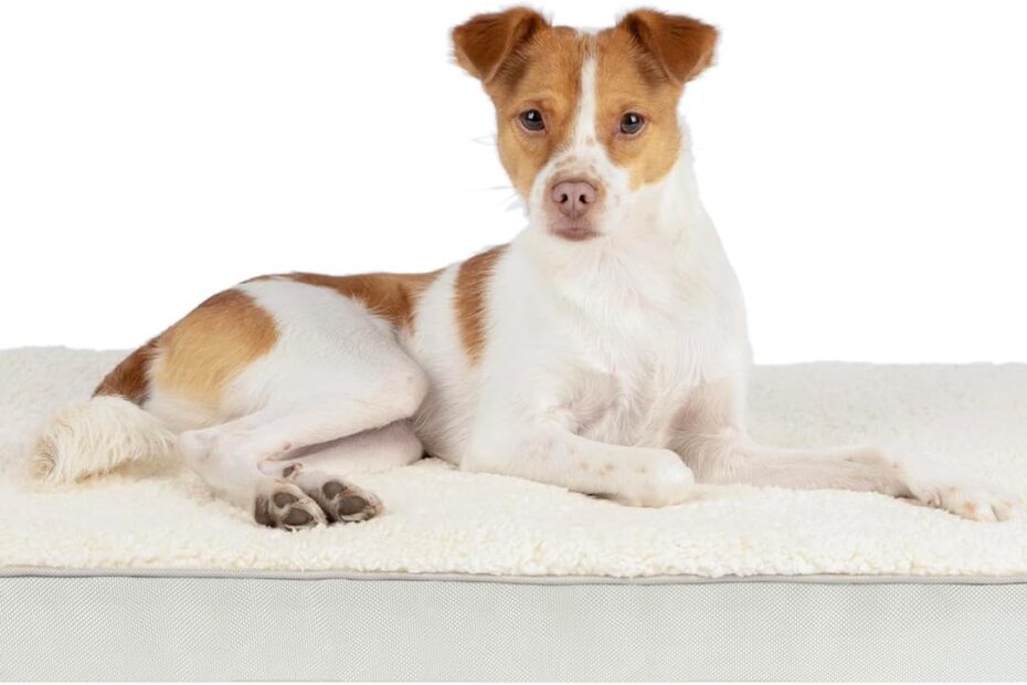 Cozy Comfort: The Best Pet Supplies Dog Bed Review for Every Size