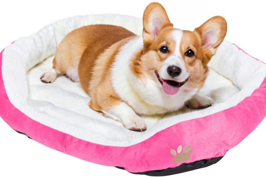 Cozy Comfort: The Best Round Washable Dog & Cat Bed for Your Pet!