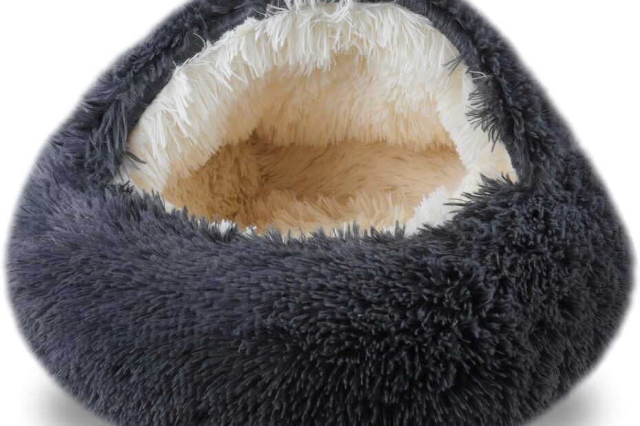 Cozy Comfort: The Ultimate Cat and Small Dog Bed Review