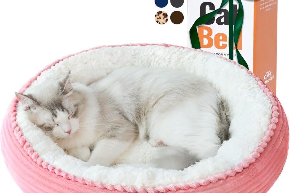 Cozy Comfort: The Ultimate Review of the 20in Washable Cat Bed for Indoor Cats