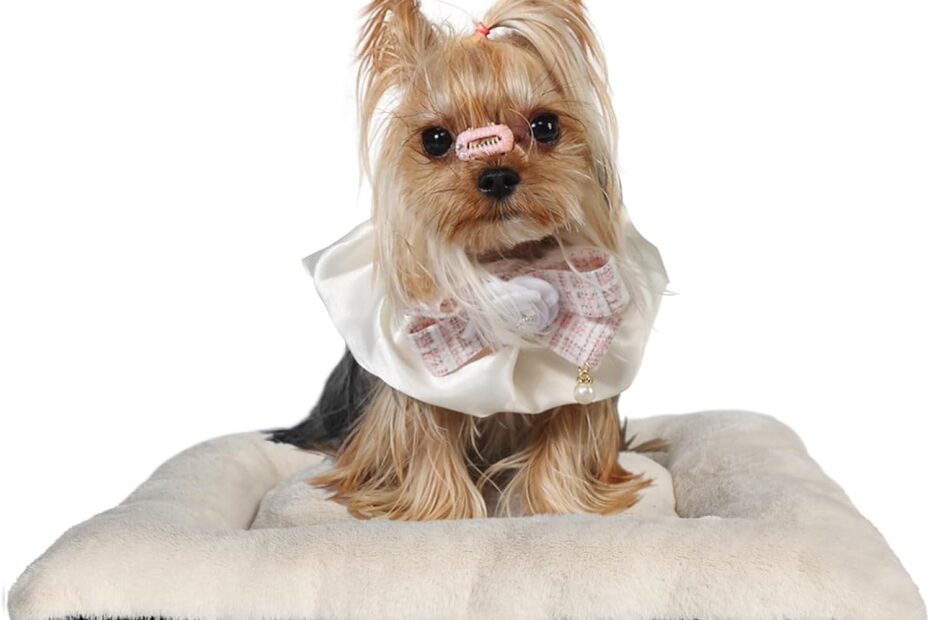 Cozy Comfort: The Ultimate Washable Dog Bed for XX-Small Pups!