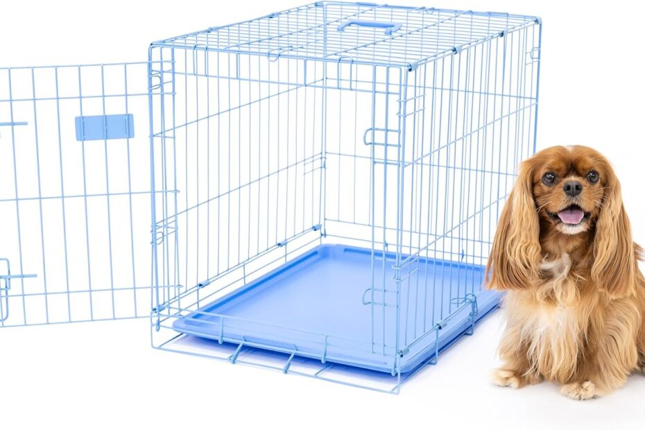 Discover the Benefits of the Carlson Blue Secure & Compact Small Dog Crate!