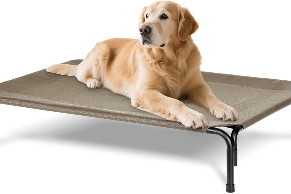 Discover the Ultimate Comfort: XL Elevated Dog Bed for Outdoor Adventures