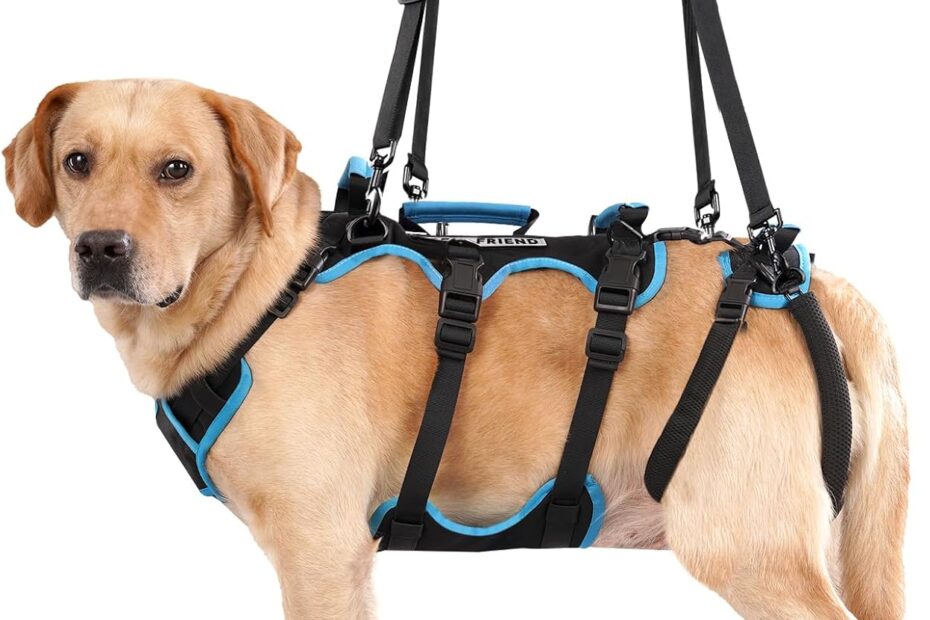 Discover the Ultimate Dog Lift Harness: Comfort & Support for Large Breeds!