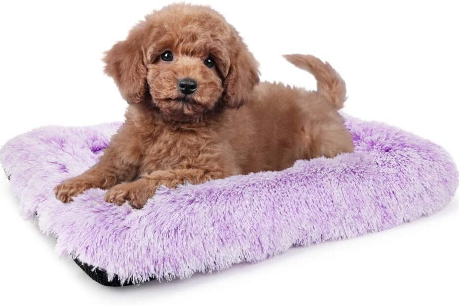 Discover Ultimate Comfort: Review of the 24 Inch Orthopedic Dog Crate Bed for Small Dogs