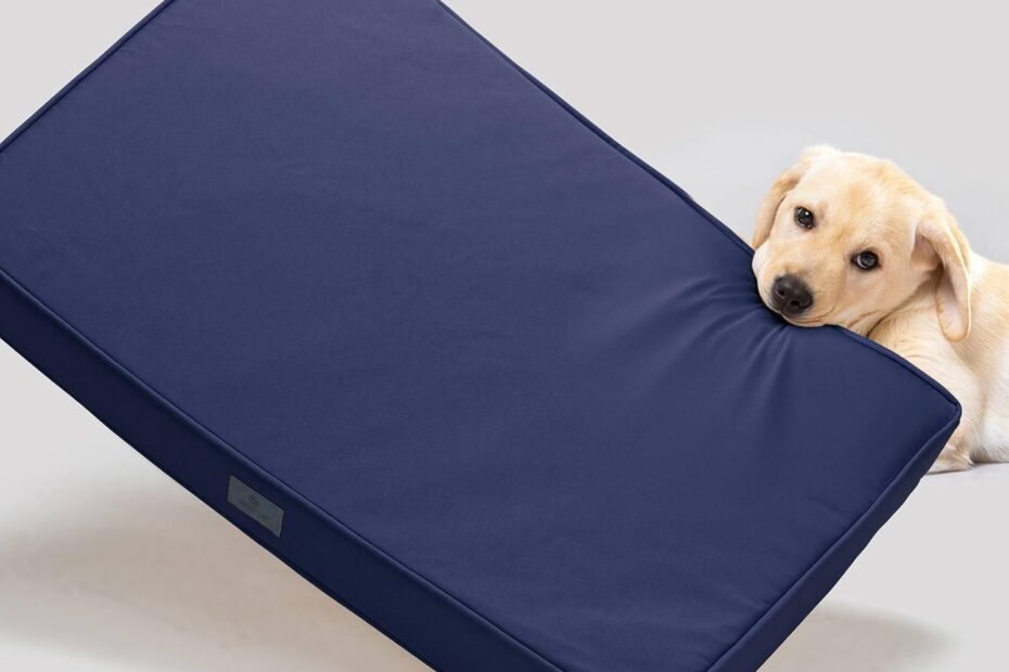 Durability Meets Comfort: Veehoo Chew Proof Dog Bed Review