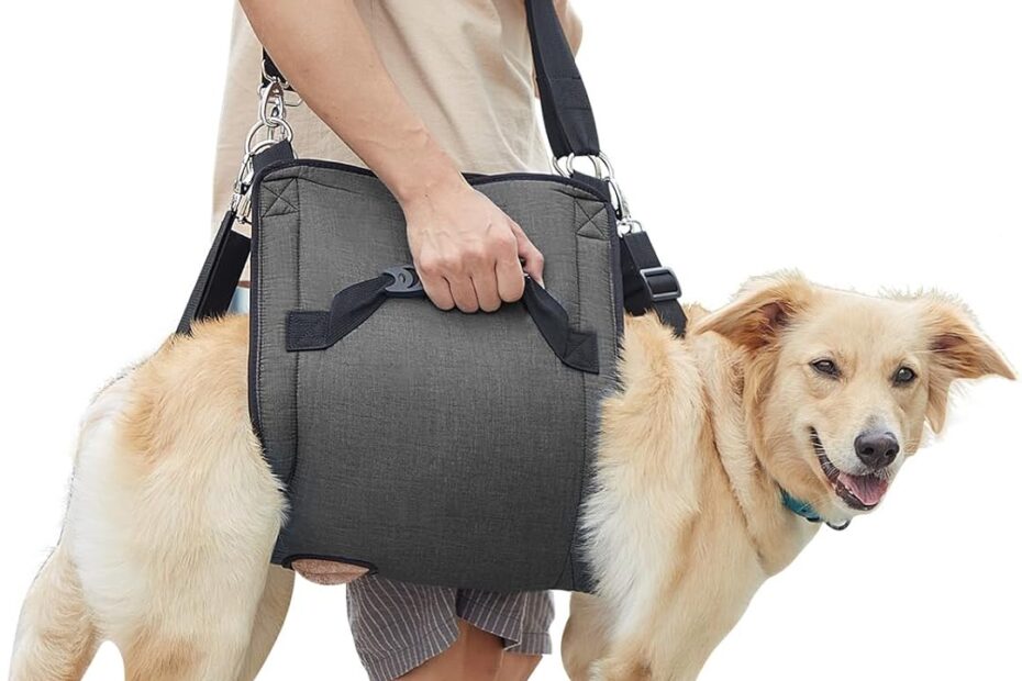Easing Mobility: The COODEO Dog Carry Sling for Senior and Injured Dogs