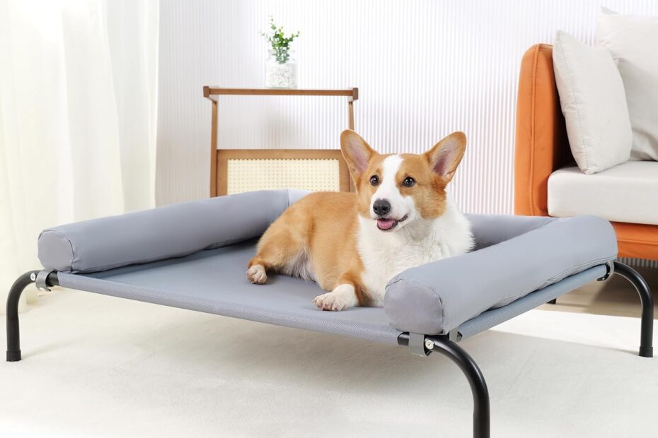 Elevate Comfort: Review of the Cooling Elevated Dog Bed with Pillows
