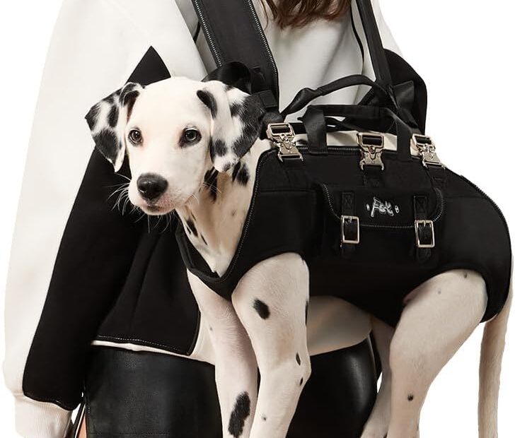 Elevate Your Adventures: Review of the FCT Dog Backpack Carrier for Active Pups
