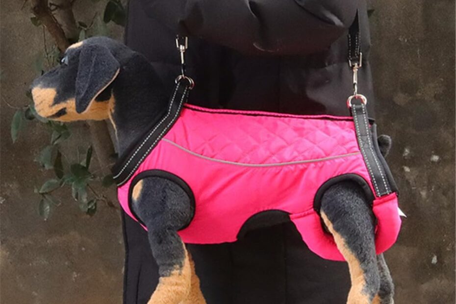 Elevate Your Pup: A Review of the Dog Lift Harness for Ultimate Support