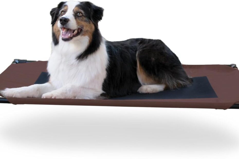 Elevate Your Pup's Comfort: K&H Outdoor Dog Cot Review