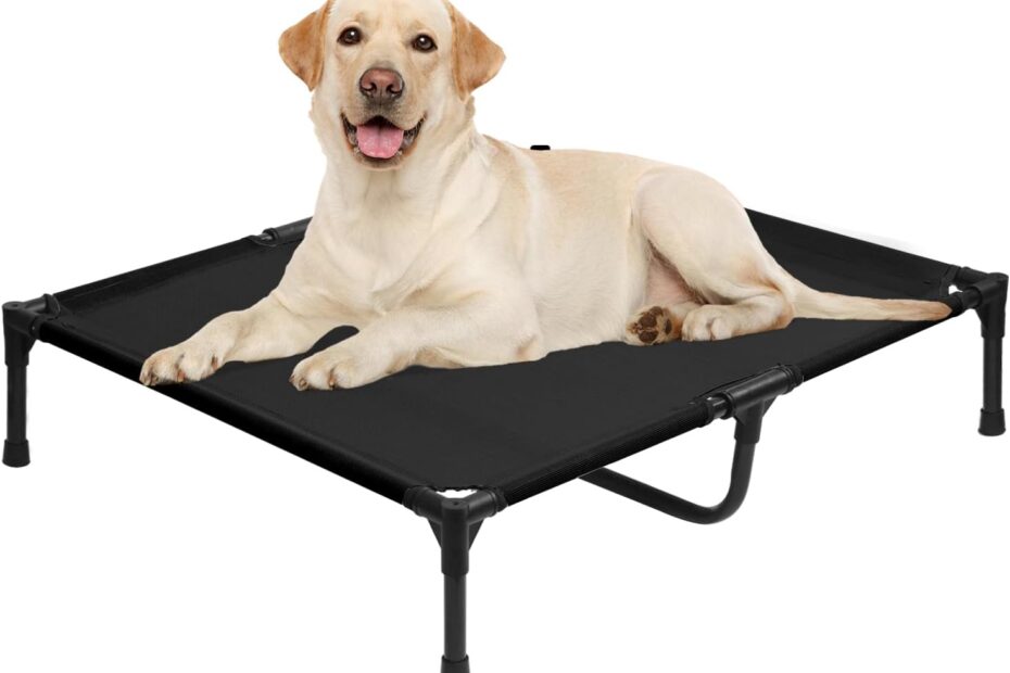 Elevate Your Pup's Comfort: Review of the 42 Inch Elevated Dog Bed