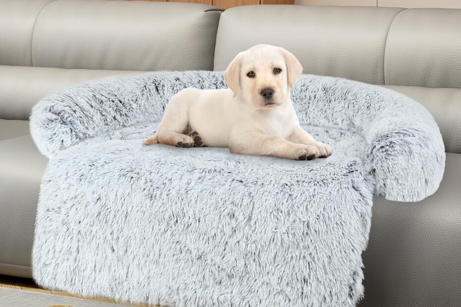 Elevate Your Pup's Comfort: Review of the Luxurious Memory Foam Dog Couch Bed Protector