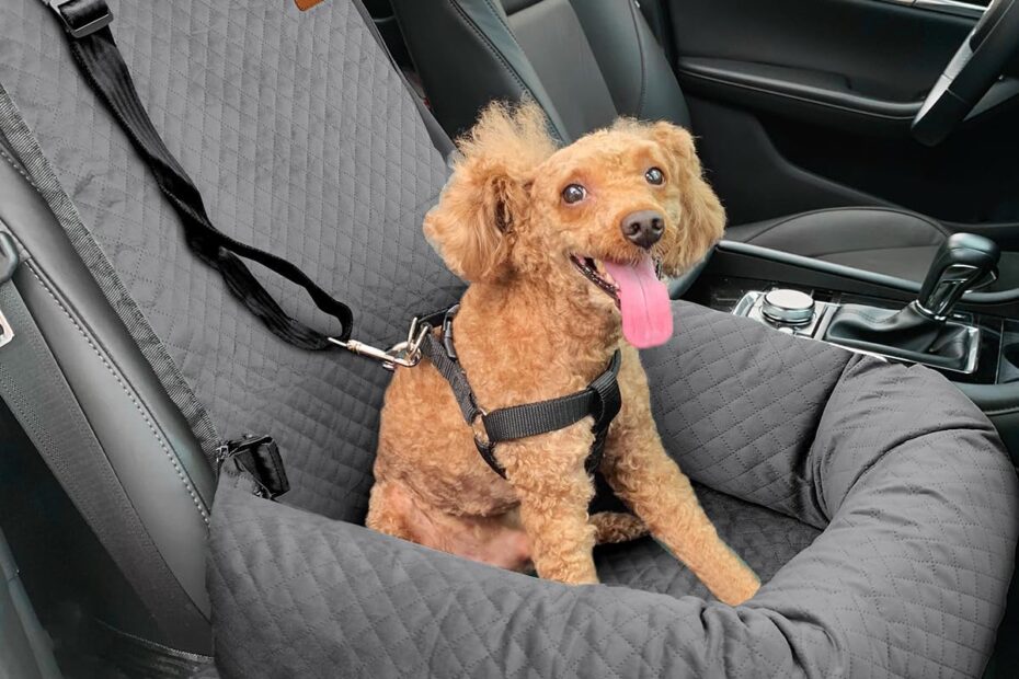 Elevate Your Pup's Travel Comfort: Review of the Ultimate Dog Car Seat