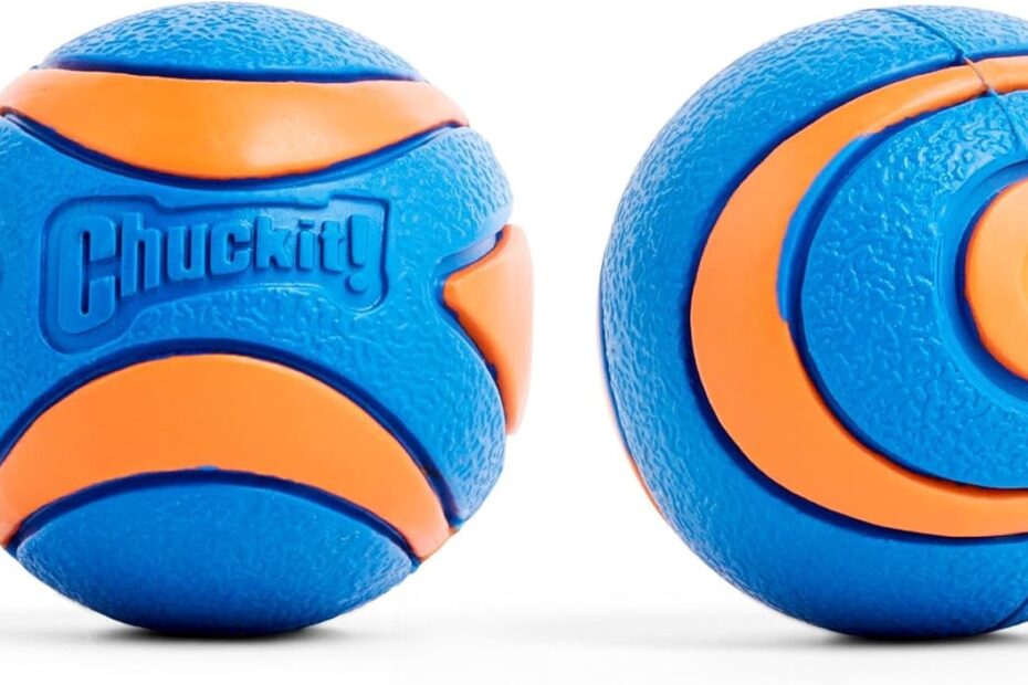 Endless Fun: Chuckit! Ultra Squeaker Ball Review for Small Dogs