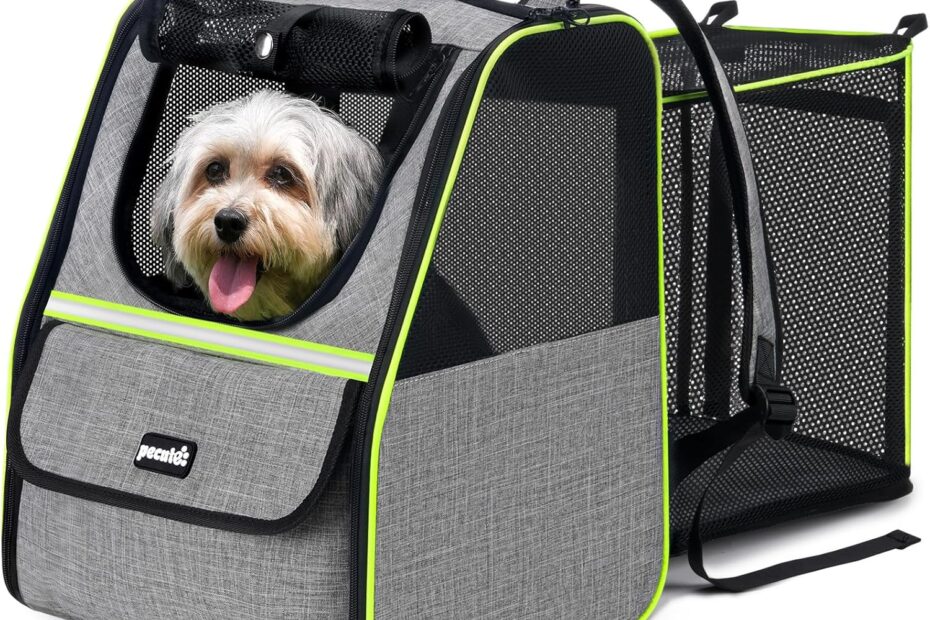 Explore in Comfort: The Pecute Expandable Cat Backpack Carrier Review