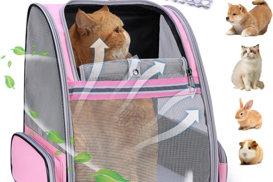 Explore the Great Outdoors: LOLLIMEOW Pet Carrier Backpack Review
