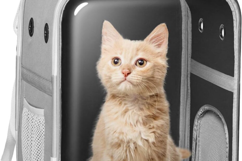 Explore with Your Furry Friend: The Ultimate Space Capsule Cat Backpack Review!