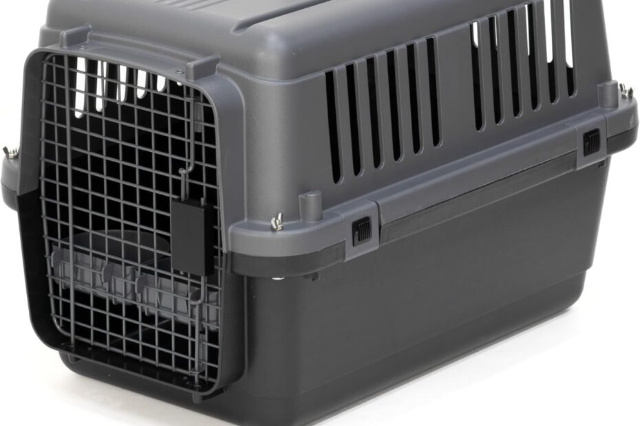 Flying with Fido: A Review of the SportPet Designs Airline Approved Dog Crate