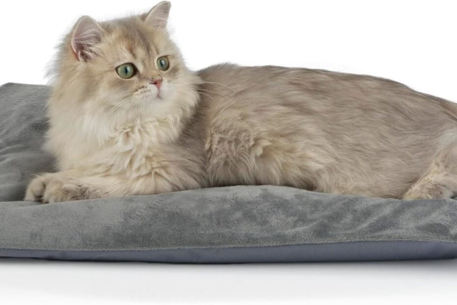 Keep Your Furry Friends Cozy: A Review of the Outdoor Heated Cat Bed