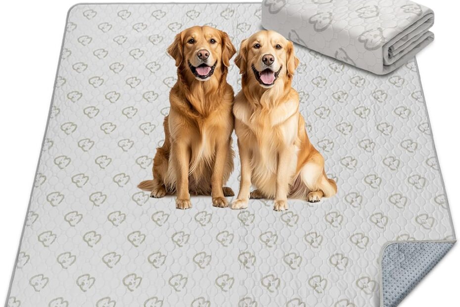 Keep Your Home Clean: FXW Washable Pee Pads for Dogs Reviewed!