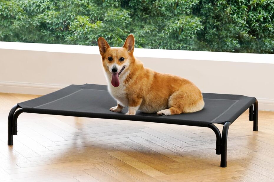 Keep Your Pup Cool: Review of the Elevated Dog Bed for Medium Dogs
