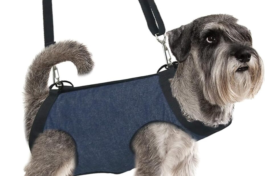 Lift Your Dog's Spirits: The Ultimate Harness for Mobility and Support