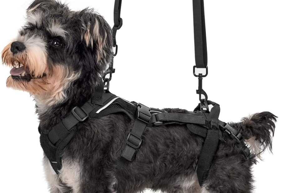Lift Your Pooch with Confidence: OneTigris Dog Lift Harness Review