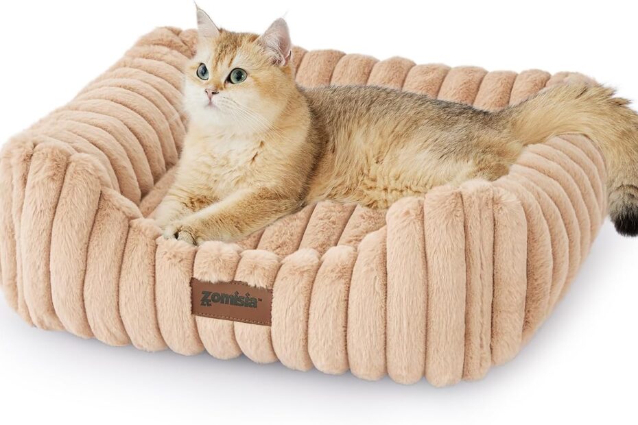 Pamper Your Pet: Review of the Cozy Rectangle Orthopedic Cat and Dog Bed