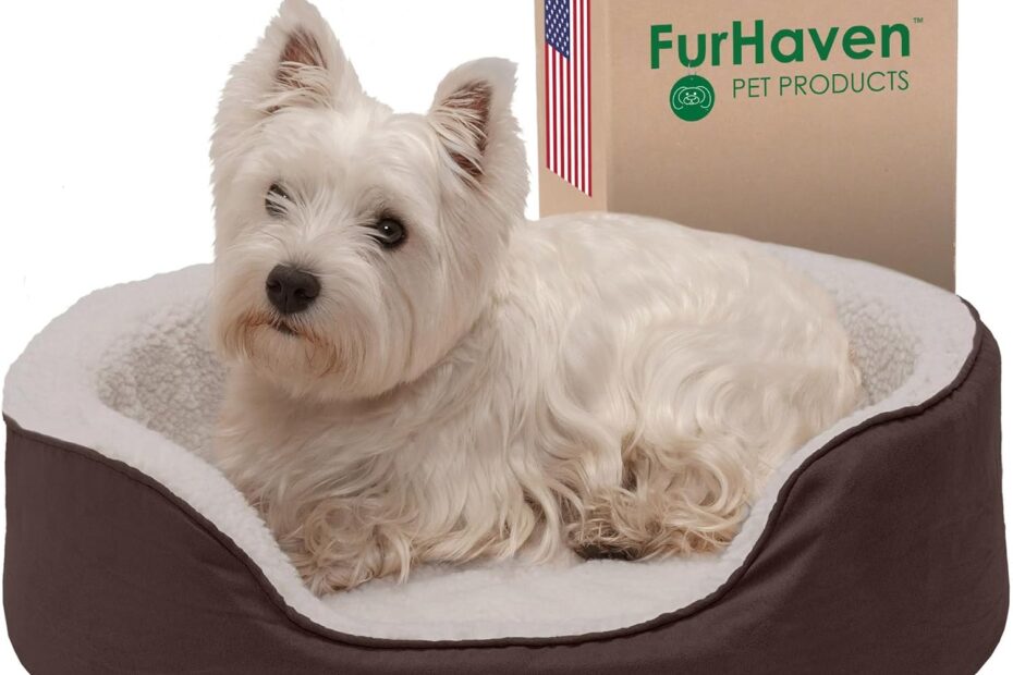 Pamper Your Pup: A Review of the Furhaven Orthopedic Dog Bed for Small Dogs