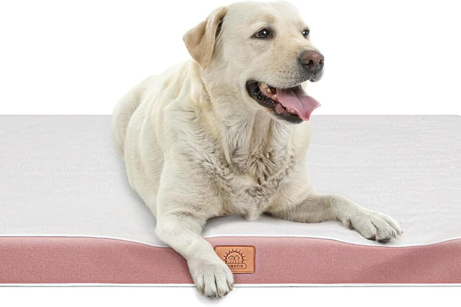 Pamper Your Pup: The Ultimate Orthopedic Dog Bed for Large Dogs