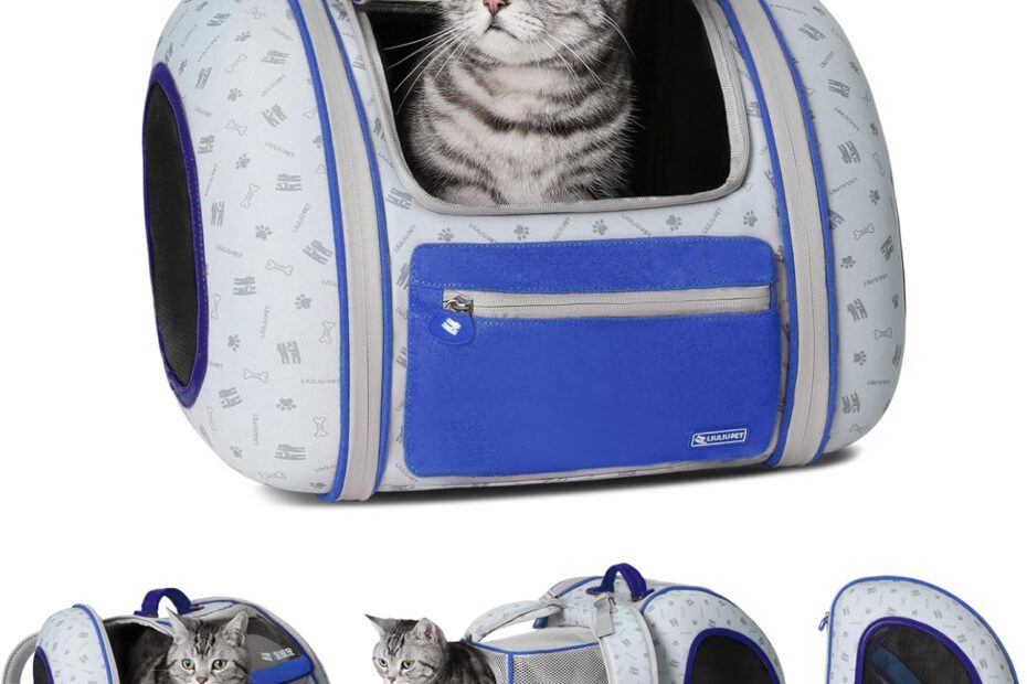 Perfect Adventures: The Ultimate Cat and Dog Backpack Carrier Review!