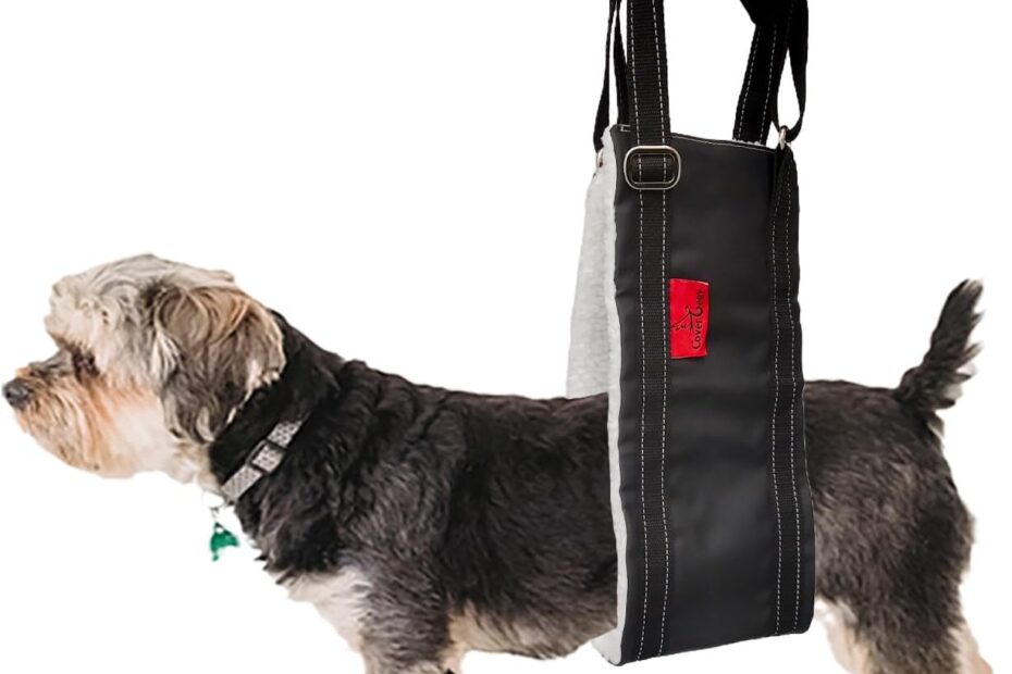 Rejuvenate Your Dog: The Ultimate Lift Harness for Senior and Injured Pets