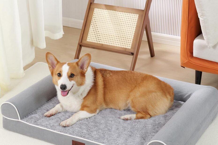 Rest Easy: Top Waterproof Orthopedic Dog Beds for Your Furry Friend