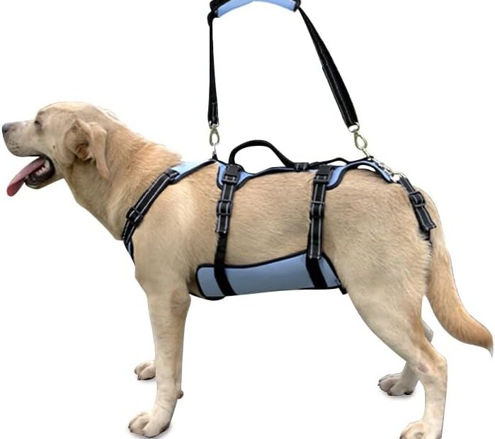 Revitalize Your Dog’s Mobility: A Review of the Coodeo Dog Lift Harness