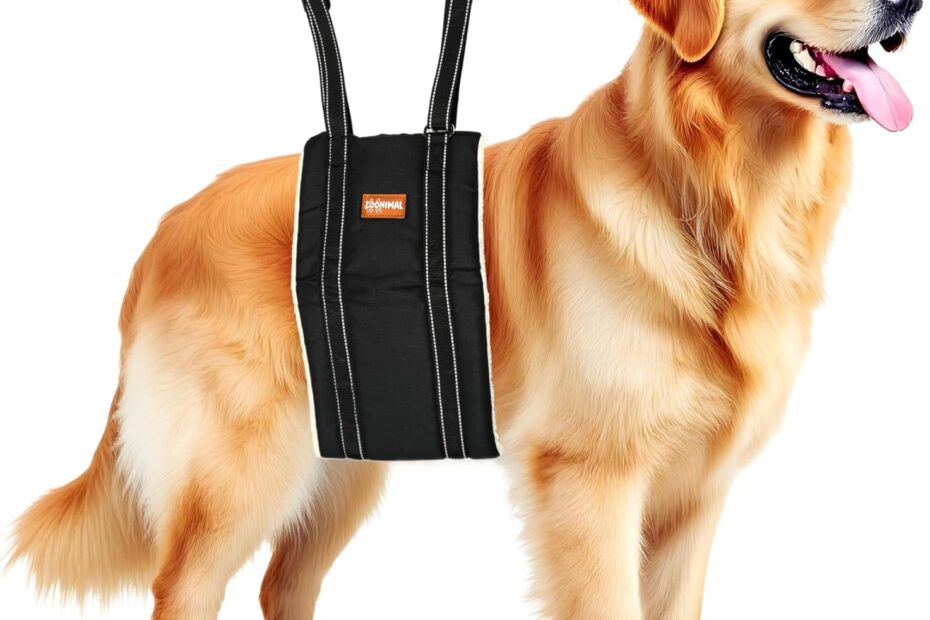 Revitalize Your Dog's Mobility: The Ultimate Adjustable Lift Harness Review!