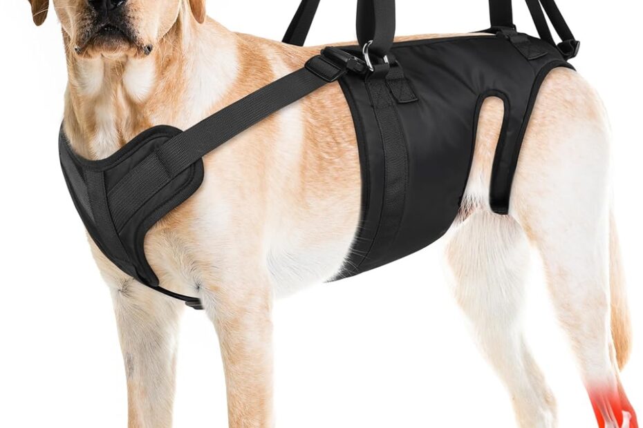 Revitalize Your Pup: The Ultimate Dog Lift Harness for Mobility and Recovery!