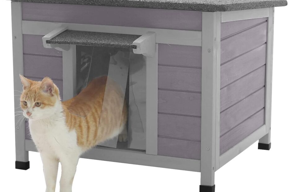 Safe Haven: Aivituvin Waterproof Cat House & Hutch Review