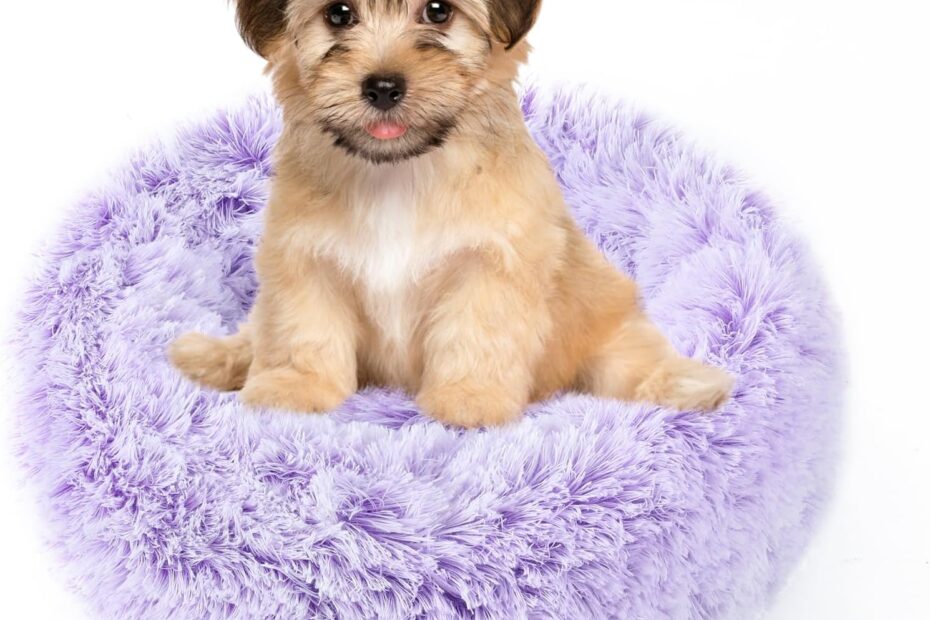 Secure Serenity: The NOYAL Calming Donut Bed Review for Happy Pets!