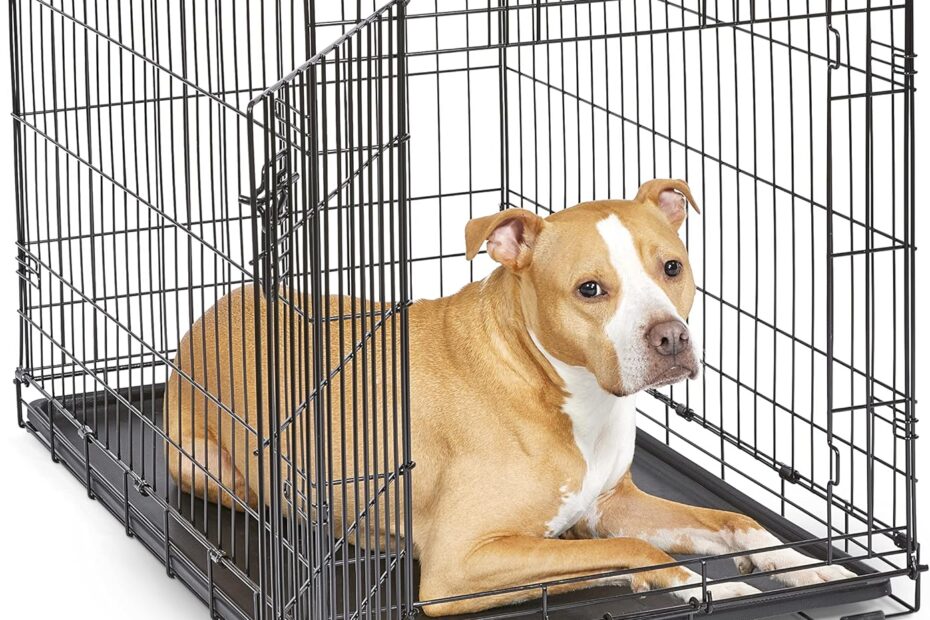 Secure & Spacious: Review of the New World 36-Inch Folding Dog Crate
