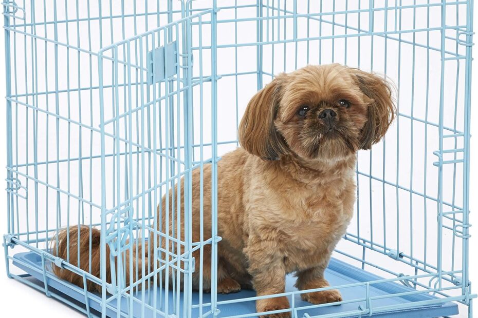 Secure & Stylish: A Review of the MidWest Homes 24-Inch Folding Dog Crate
